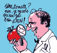 Copyright &copy; Baldassarra Conseil - Paris